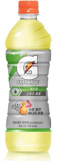 게토레이 레몬 600ml, 10개