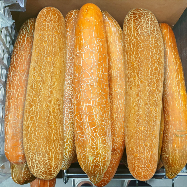 [초특가할인] 국내산 노각오이 노각 늙은오이, 1박스, 노각오이 2kg