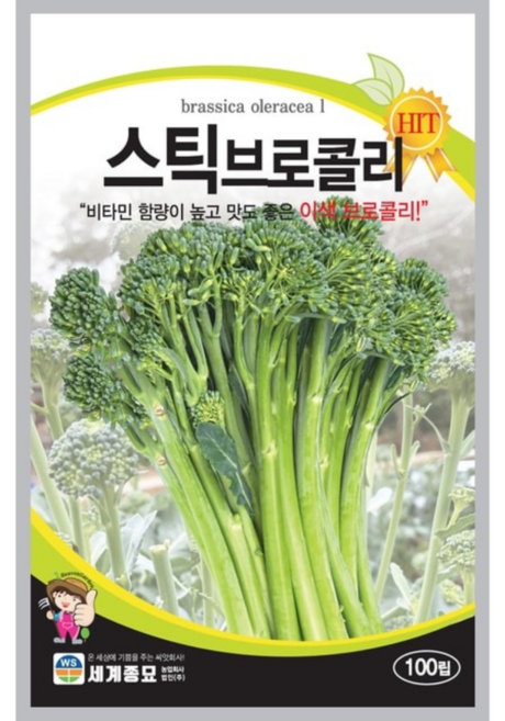 스틱브로콜리 씨앗 100립 채소 쌈 브로콜리 종자, 1개