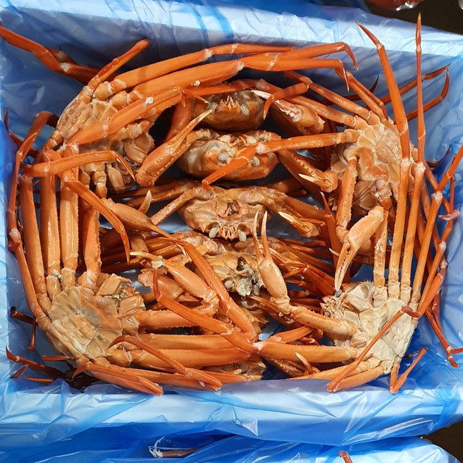 최강 가성비 육수용 다릿살 수율 70% 자숙 급냉 홍게 8kg_(23~30미 내외), 1개, 8kg