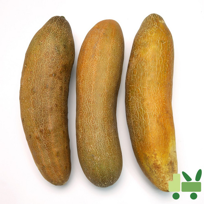 7위 - 사라상회 노각 (늙은오이) 10Kg (상), 1개