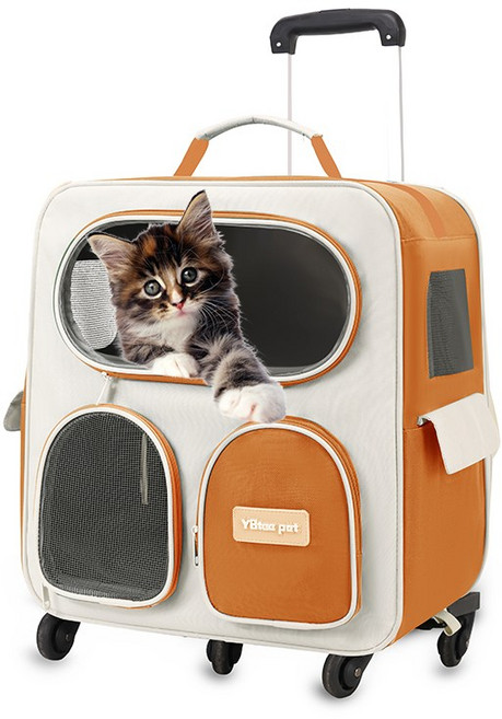 반려동물 이동식 백팩 캐리어 4륜 반려견 캐리어 고양이 강아지 이동가방 이동장 고양이이동장 강아지캐리어가방 고양이캐리어가방, 1개, 오렌지