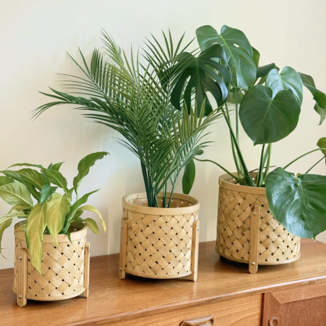 도르리 라탄 화분 커버 우드 바구니 화분 받침 바스켓 화분커버 플렌테리어, 1개, 내추럴