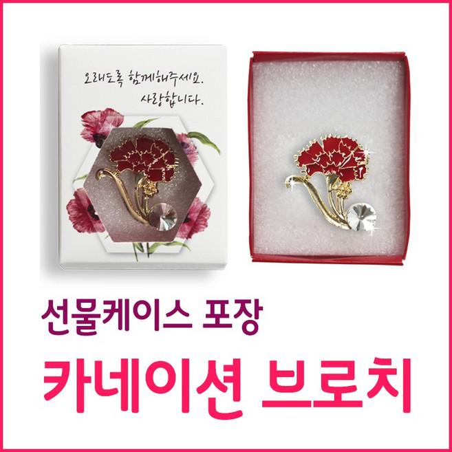 헤이그샵 카네이션브로치 선물포장