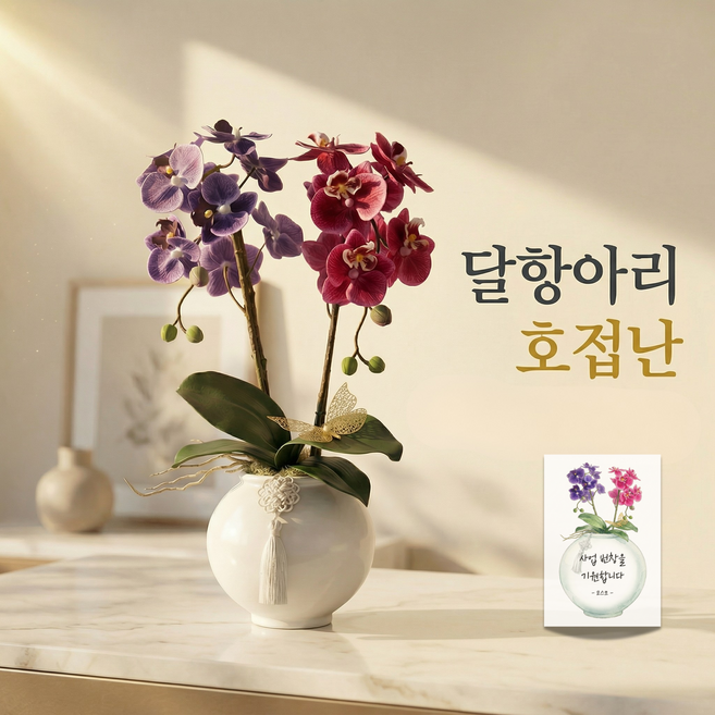 코스모랩 달항아리 호접란 조화 화분 프리미엄 도자기 상견례 집들이 개업 이사 승진 감사 어버이날 생일 축하 선물 인테리어 장식 커스텀 메시지카드, 1개, 메세지카드 문구는 배송메세지란에 작성 해주세요