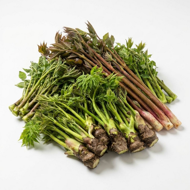 팜보스 봄 제철 산나물 모음 국내산 참나물 땅두릅 참두릅 머위나물 머위잎, 1박스, 땅두룹 1kg