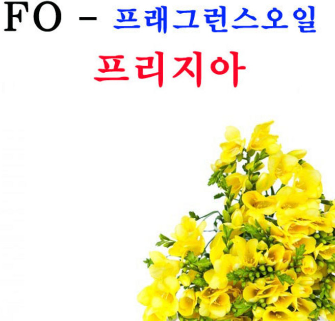 코리아씨밀락 프래그런스오일 프리지아향, 프래그런스오일 프리지아향 500ml, 1개