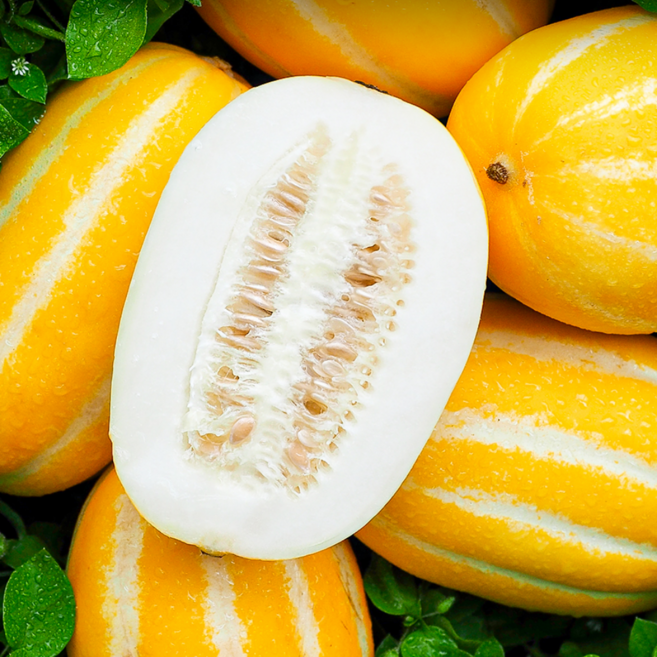 [감동특가] 재구매율1위 아삭/달달한 성주꿀참외, 1박스, 꼬마 3kg