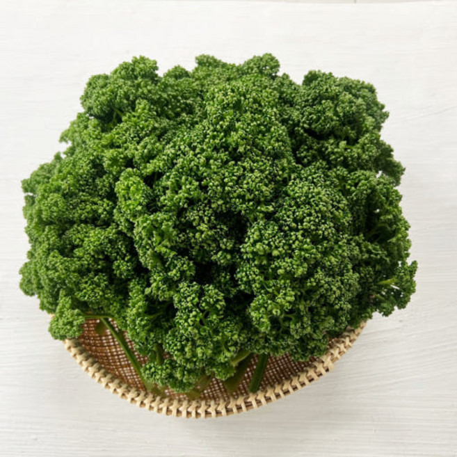야채이야기 생파슬리 1kg 생 파세리, 1개