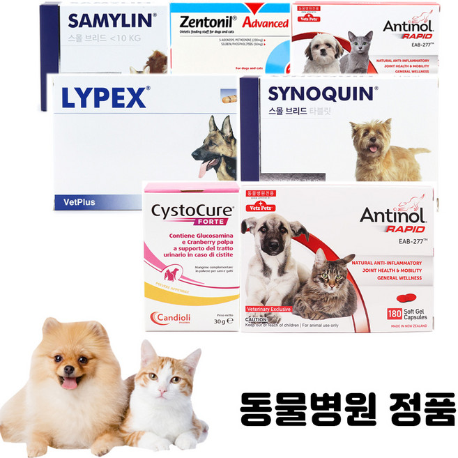 베츠페츠 베토퀴놀 벳플러스 버박 넬라펫 강아지 고양이 영양제 신장 관절 오메가3 유산균 칼슘 레날 안티놀래피드, 베토퀴놀 질켄, 1개