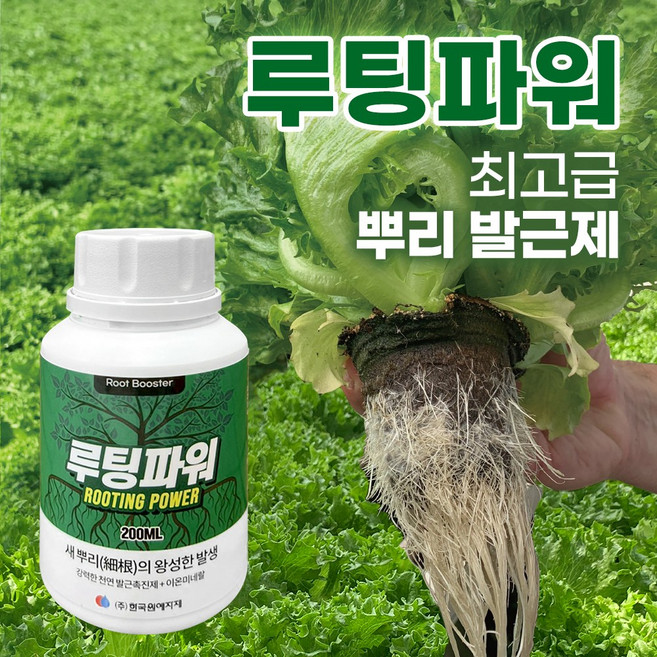 루팅파워 200ml (천연발근촉진제 + 이온미네랄) 뿌리영양제 식물발근촉진 장미 수국 과수 수목 뿌리강화 생장 성장 촉진 친환경 식물영양제 포도영양제 액상 액체 발근제, 1개
