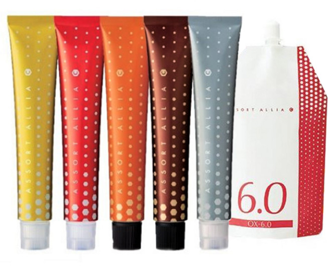 데미염색약 어솔트 아리아 C 염색약 80g, 1개