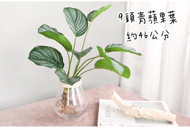 仿真 觀葉植物 約40公分, 1個, 9頭青蘋果