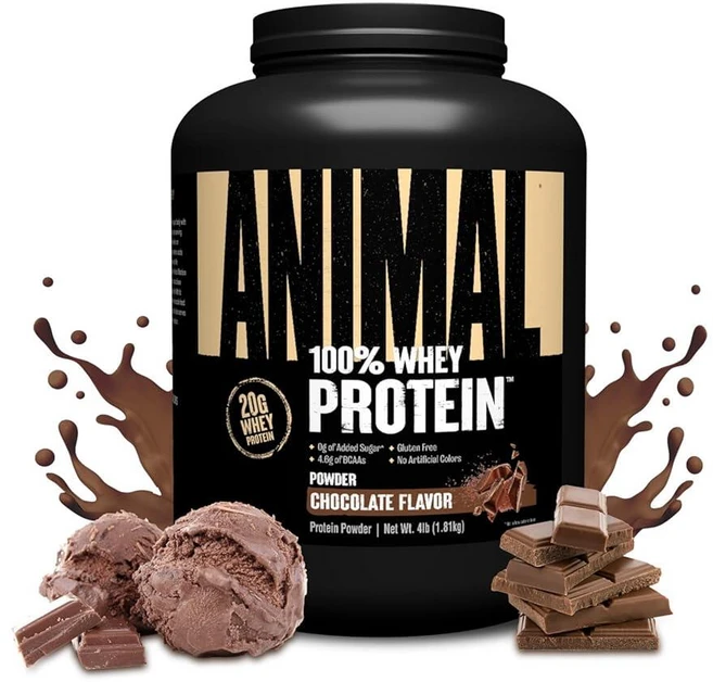 Animal 유청 단백질 파우더 초콜릿맛 1.81kg, 1개 - 쿠팡