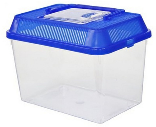 벅스킹덤 사각 채집통 대형, 블루, 1개