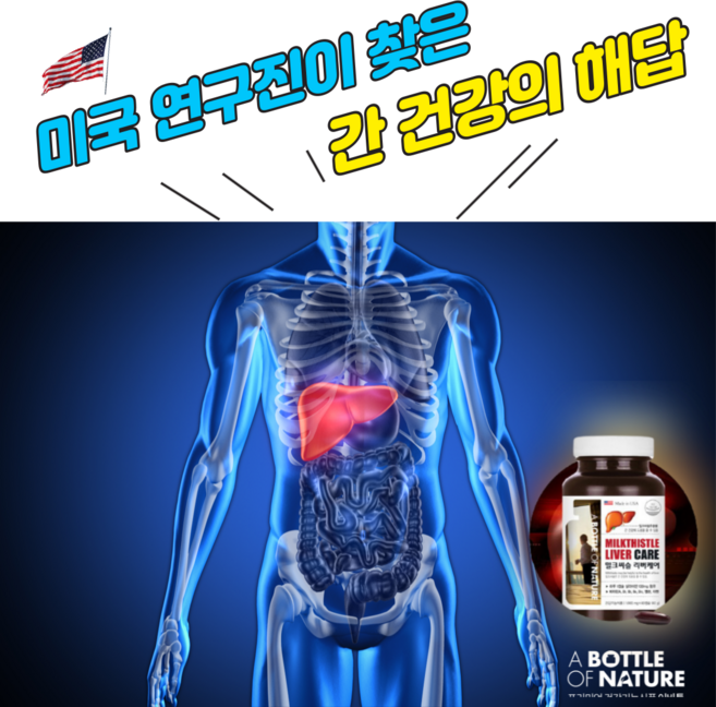 미국직수입 필수 직장인영양제 비타민b6밀크시슬 ~! 만성피로증후군 몸이피곤할때 지방간에좋은영양제 간기능개선제 밀크씨슬 추천 해요! 간경화에좋은음식 과 간건강 영양제 를 같이드세요!, 단품, 1개, 60정