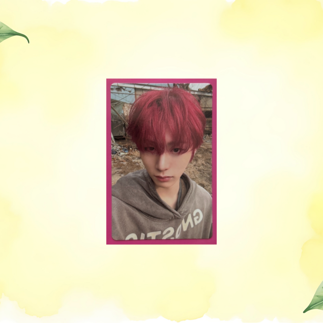 [포켓더스타]보넥도 노장르 보드게임버전(앨포) 포카, 태산