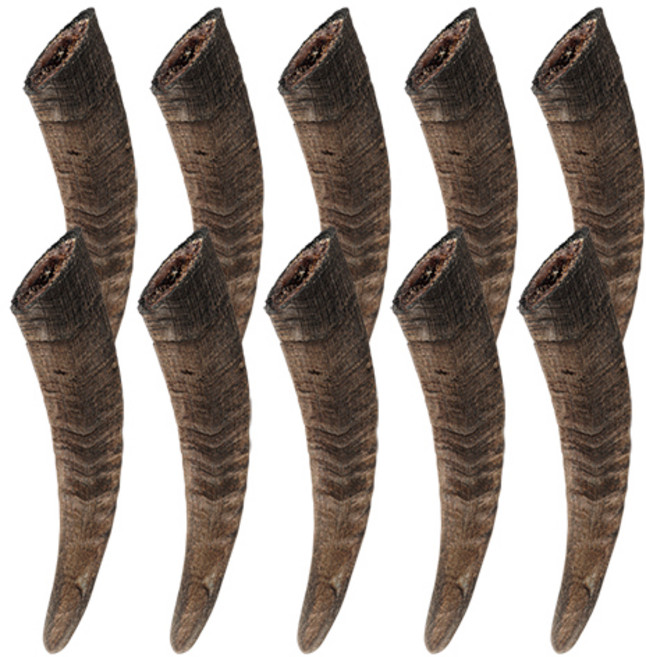 펫쉴드 강아지 수제간식 흑염소 뿔 껌, 40g, 10개, 흑염소 작은뿔