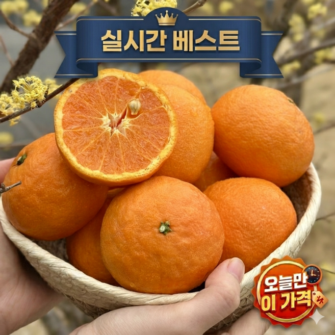 [해피픽] 제주 산지직송 프리미엄 고당도 카라향 15brix, 1박스, 5kg