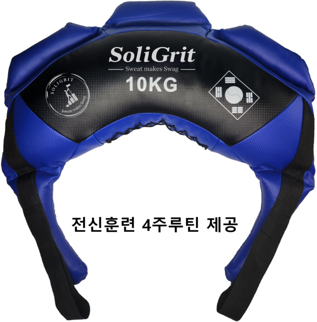 솔리그릿 전신 심폐근력운동 불가리안백 무소음 홈트기구, 10kg, 블루