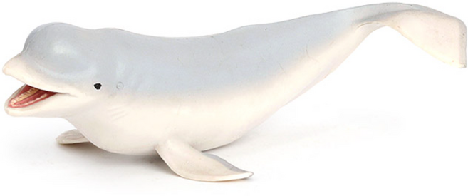 제트피규어 벨루가 그레이 흰고래 피규어 장난감 바다 해양 동물 생물 모형 철갑상어, 1개