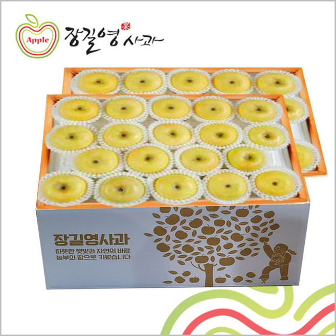 장길영 시나노골드 프리미엄사과 10KG 중과(33-39과) 청송사과 황금사과 산지직송, 1세트