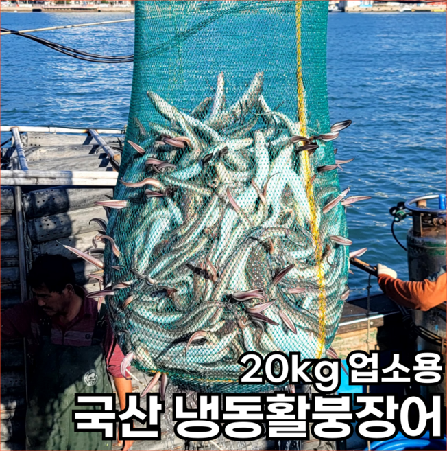 국산 통영 활 냉동 붕장어 업소용 20kg, 1박스, 20kg[56/60]