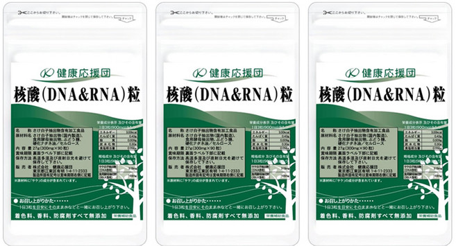 핵산 DNA RNA 90정 3개 연어이리 켄코오엔단