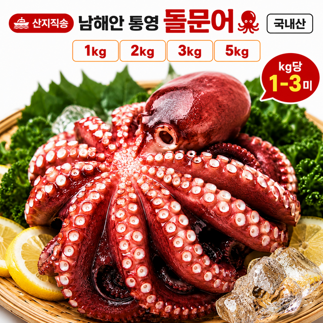 [오픈특가] 국내산 통영 생물 돌문어 산지직송 제수용 kg당 1~3미, 1개, 5kg