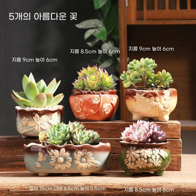 다육이화분 5종 미니화분 다육이화분이, 글램 플라워, 5개