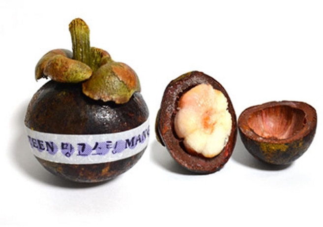 냉동 망고스틴 1kg(500gx2개) (태국) /새콤달콤, 2개