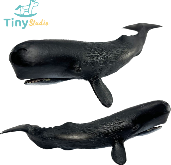 타이니스튜디오 향유고래 피규어 장난감 완구 모형 해양동물 바다생물 고래 상어 KC인증, 1개