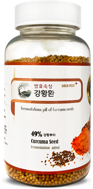 지노헬스케어 발효 강황환 250g, 1개