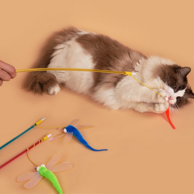 묘견인생 고양이 카샤 낚시대 장난감 잠자리 3개, 1개, 3가지
