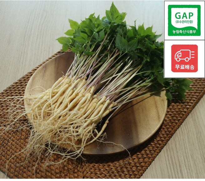 [류씨농장] 국내산 GAP인증 프리미엄 새싹인삼 당일수확 업소용/가정용, 1g, 30개, 대