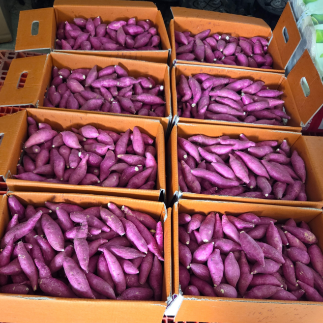 탑마루 익산 한입고구마(25년 햇 밤고구마), 1개, 10kg