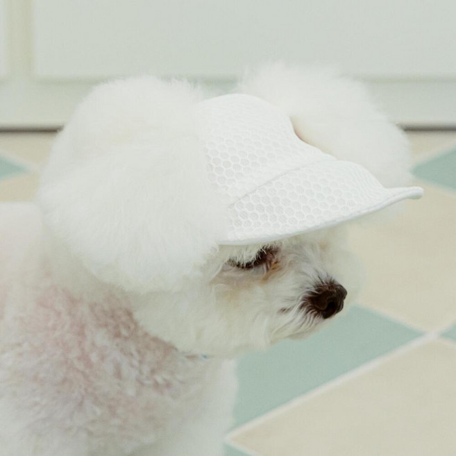 반려잡화점 강아지 반려동물 자외선차단 모자 여름 썬캡, 1개, 화이트