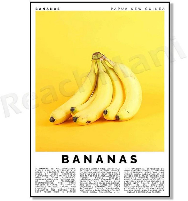 리치 아카이 과라나 수박 자보 두리안 람부탄 망고스틴 구아바 바나나 사과 과일 장식 주방 포스터, 1개, 15. 11 / H. 40x60cm Canvas