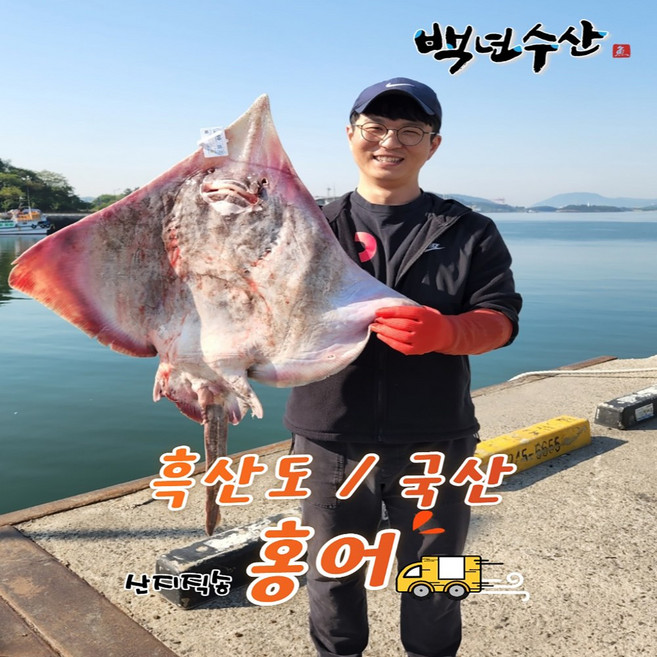 목포백년수산 흑산도홍어 국산홍어회 삭힌홍어250g 500g 1kg이상 (홍어애+홍어뼈+무료배송), 국산홍어500g강, 1개