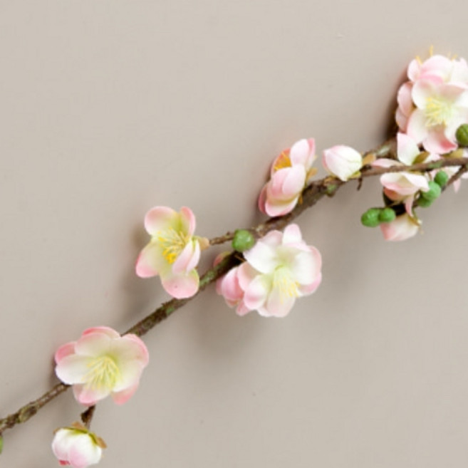 봄조화 매화, 1개, 63핑크