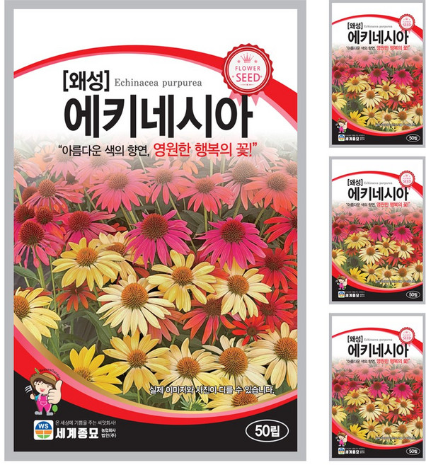 왜성 에키네시아 50립 일년생 다년생 꽃씨앗 종자, 4개