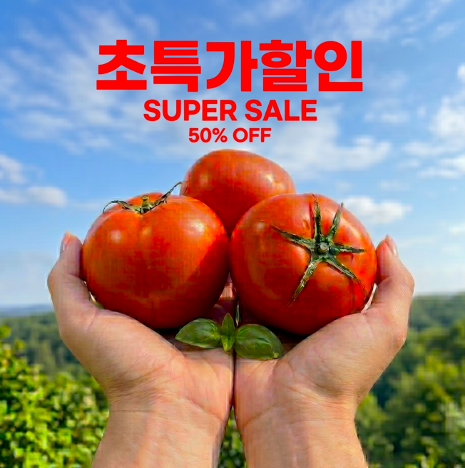 [타임세일] 완숙토마토 단 오늘만 초특가할인, 1박스, 5kg