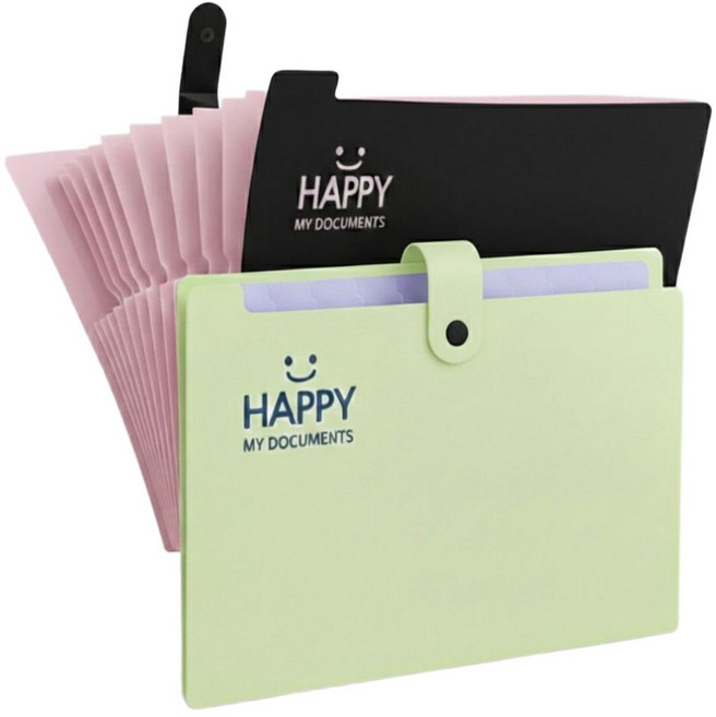 배로나 편리한 똑딱이 파일케이스 수납력 12칸, 2개, 그린블랙