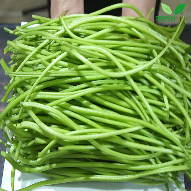 [2026년 첫 수확] 국내산 생 고구마순 청대 고구마줄기, 1개, 400g