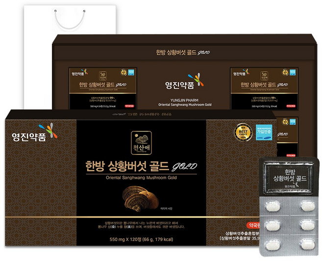 영진약품 한방 국내산 상황버섯 골드 4개월분, 1박스, 120정