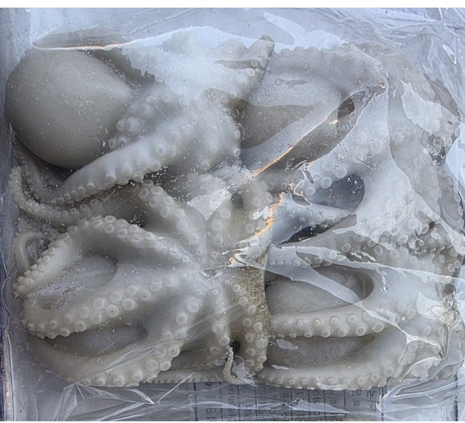 프라임주꾸미 200gr (4미 6미), 200gr 4미, 1개