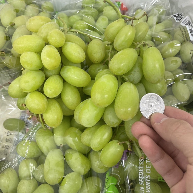 [제니네 제철과일] 오톰 크리스피 청포도 애플포도 산지직송 씨없는 수입포도, 1개, 오톰 크리스피 포도 4kg 1개