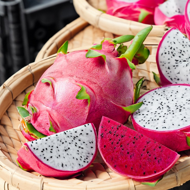 용과 백용과 레드용과 베트남 직수입 열대 과일, 없음, 1개, 5kg 8-12과