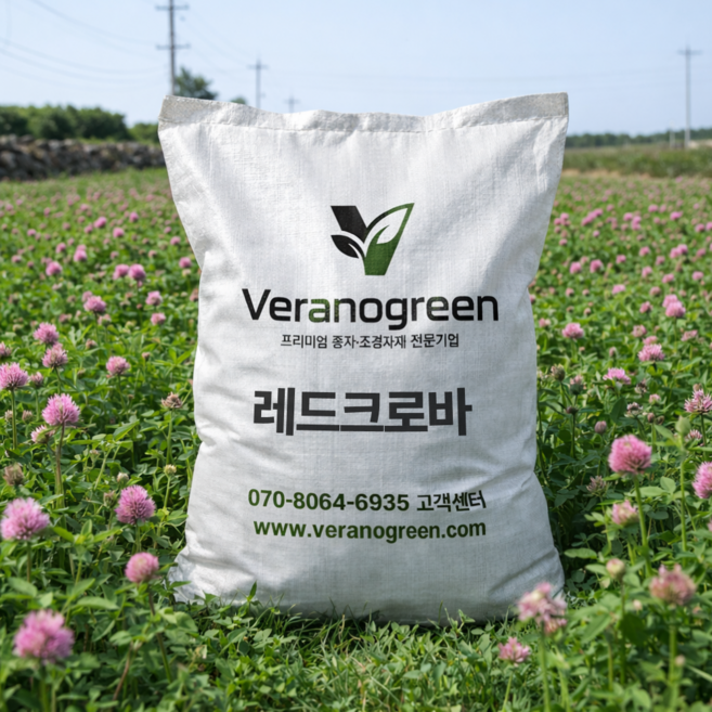레드크로바 씨앗 1kg 야생화씨앗 산림종자, 1개