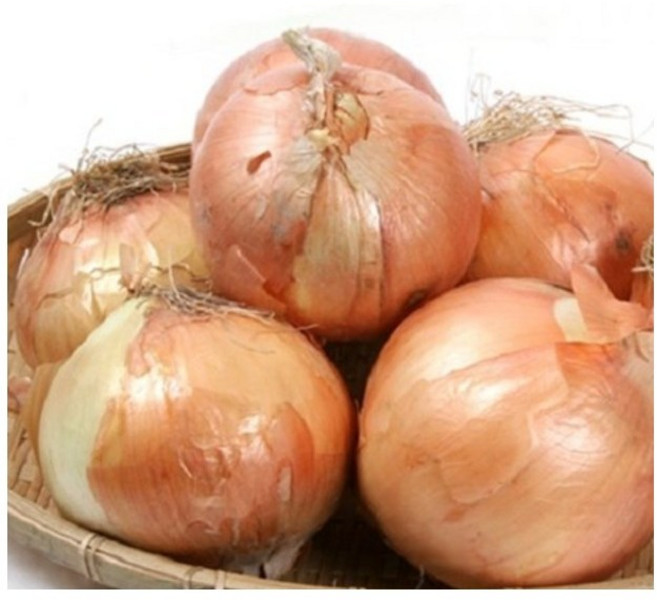 아빠의 마음 품질엄선 26년 국내산 햇양파, 5kg(상품), 1개